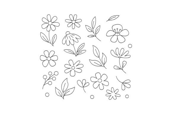 Hand-drawn Floral Elements and Leaves